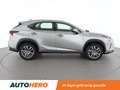 Lexus NX 300h NX 300h E-Four Business Line Gris - thumbnail 7