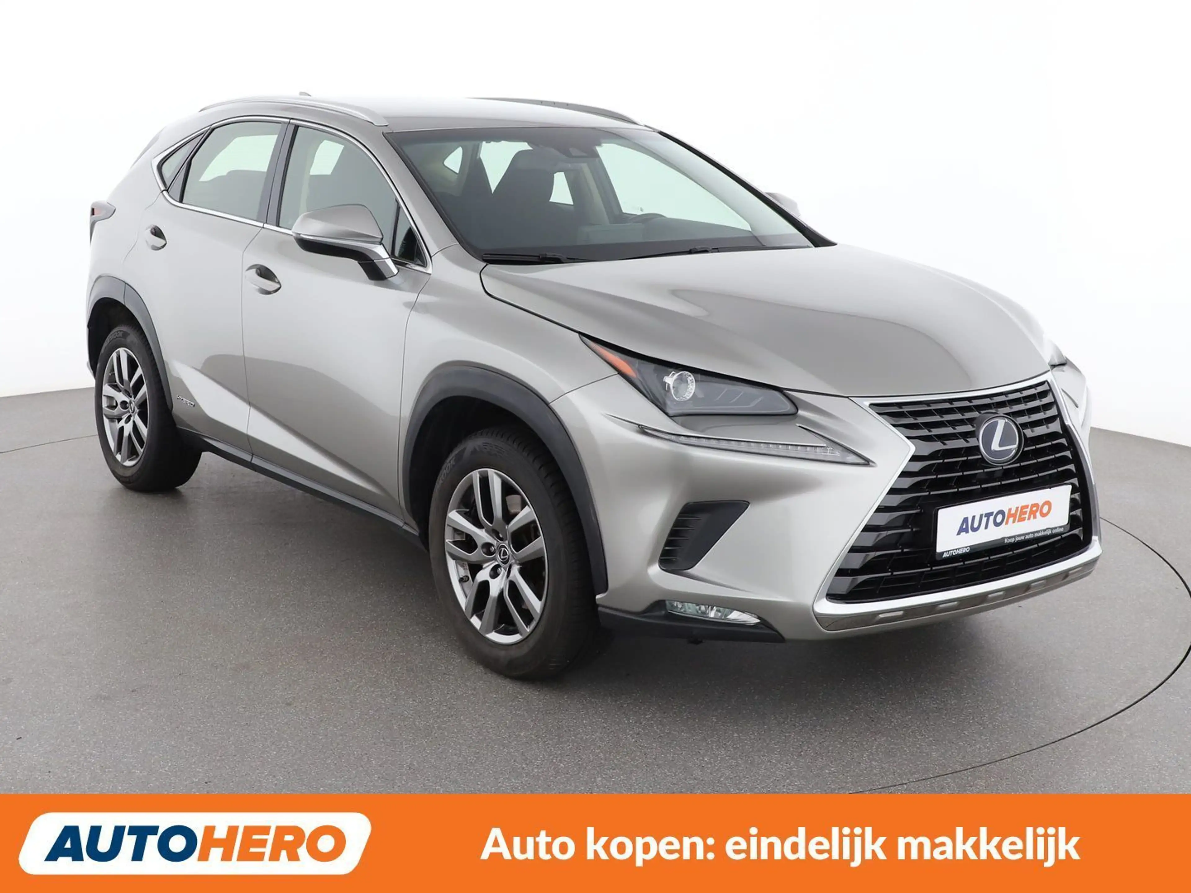 Lexus NX 300h NX 300h E-Four Business Line — photo 8
