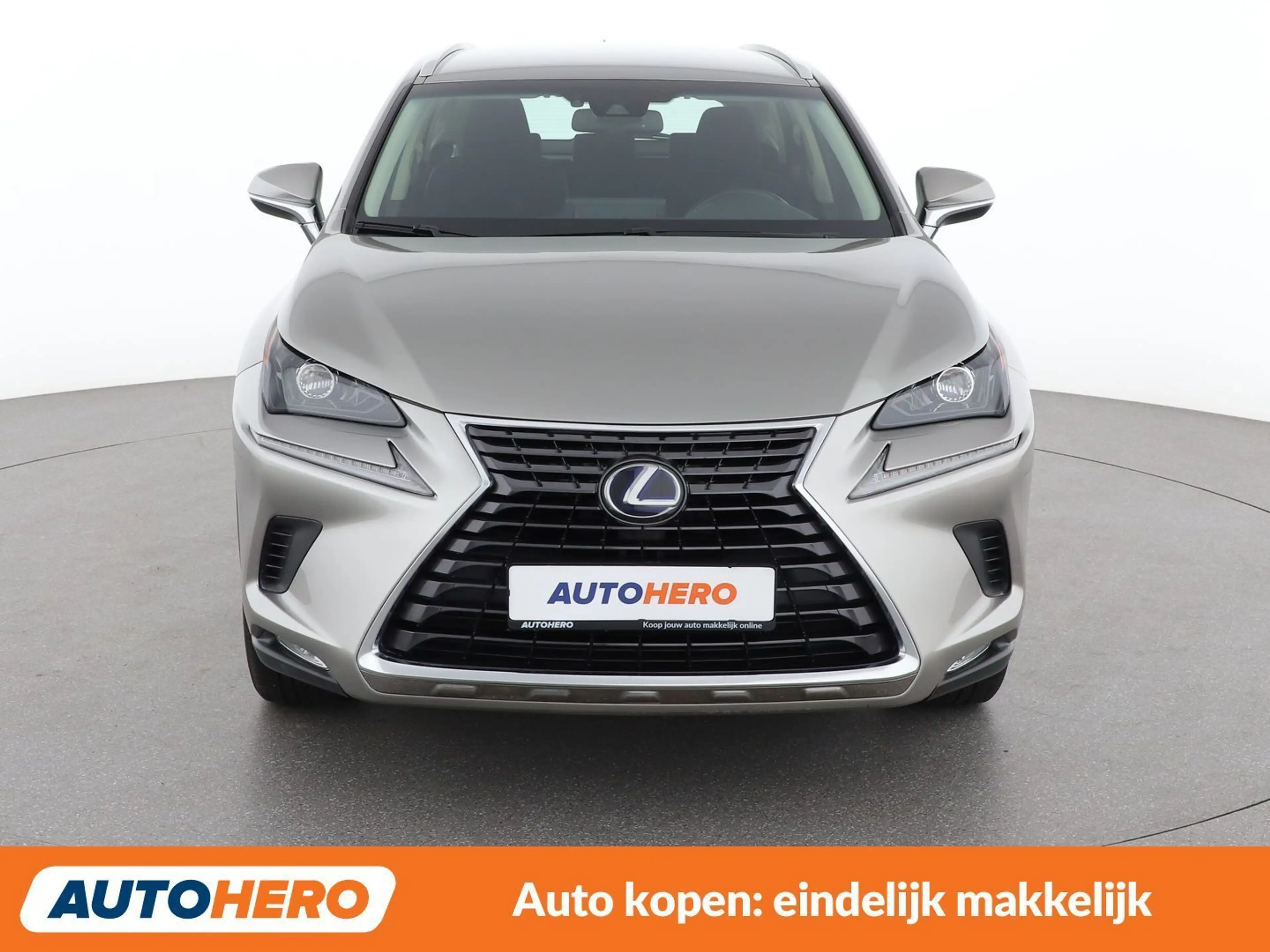 Lexus NX 300h NX 300h E-Four Business Line — photo 9