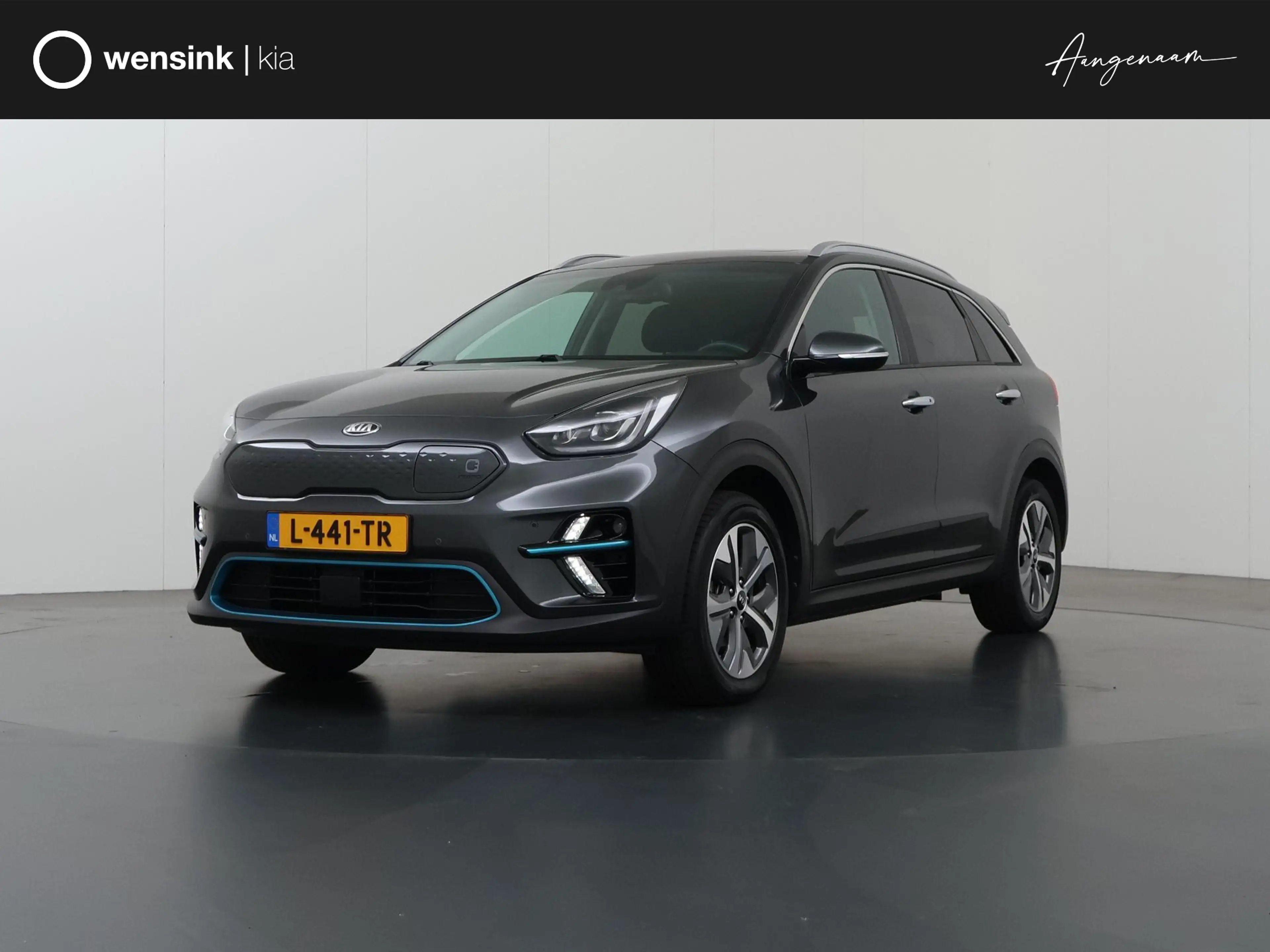 Kia e-Niro DynamicPlusLine 64 kWh | Schuifdak | Stoel/Stuurve