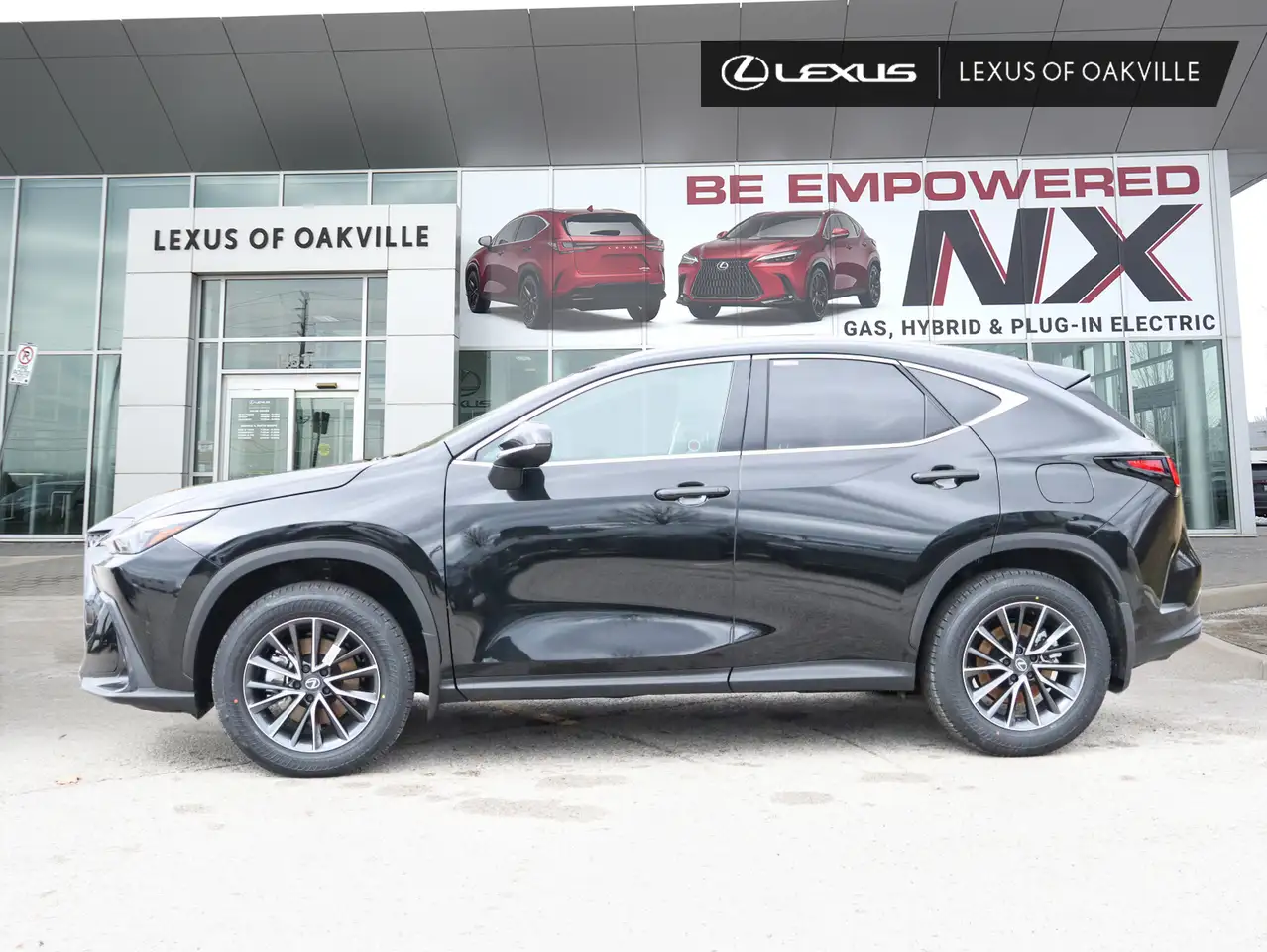 Lexus NX fotografie Lexus NX