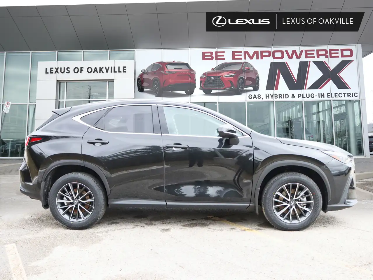 Lexus NX fotografie Lexus NX