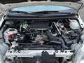Daihatsu Terios Terios 1.5 4WD SX Bianco - thumbnail 15