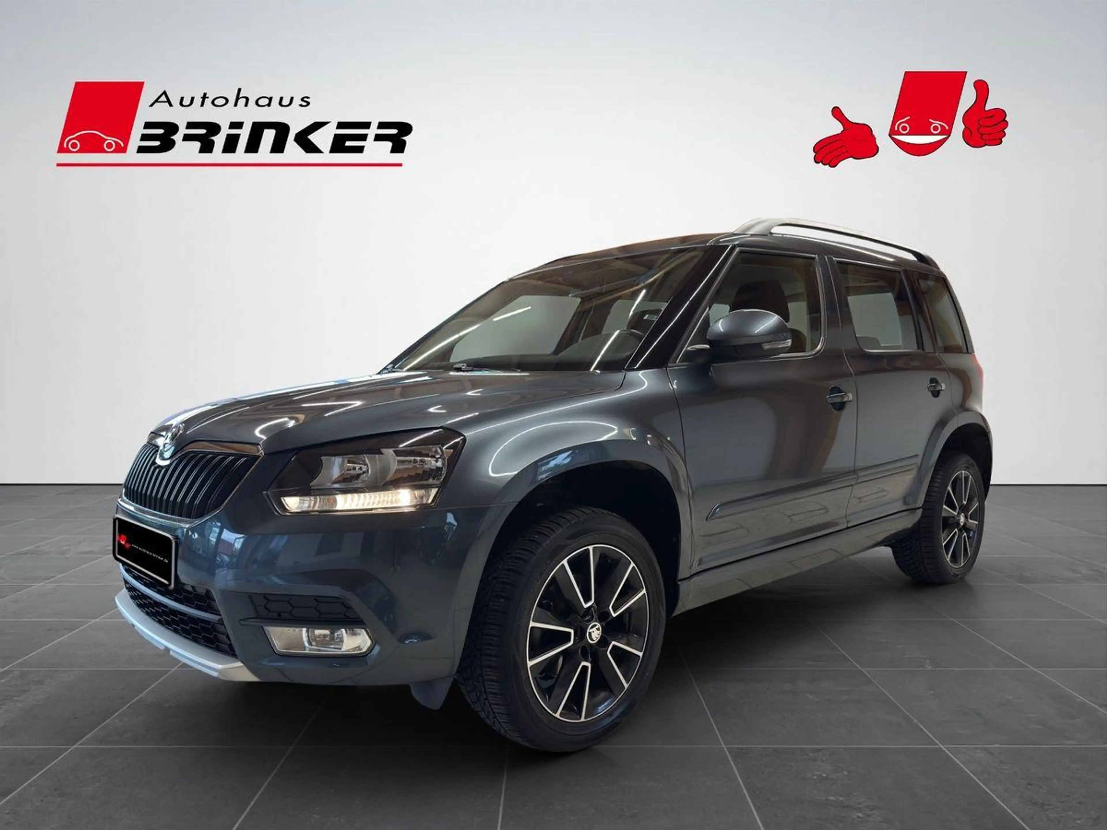Skoda Yeti Ambtiton 4x4 1.8 TSI DSG AHK Klima Navi — photo 3