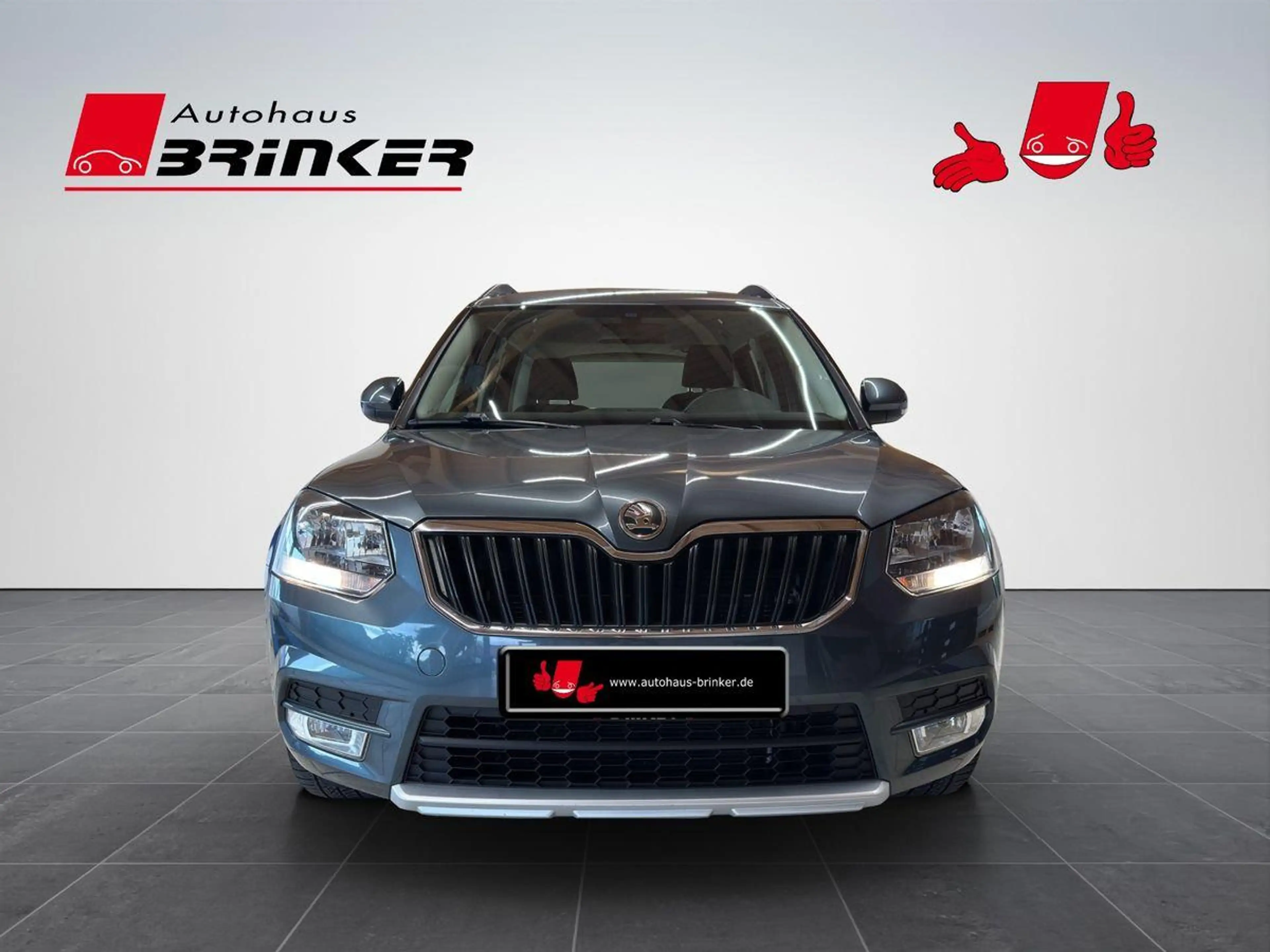 Skoda Yeti Ambtiton 4x4 1.8 TSI DSG AHK Klima Navi — photo 2