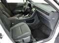 Lexus LBX Emotion 2WD / Bi-Tone / TechPack / Elektr. Achterk Blanc - thumbnail 16