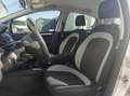 Fiat Punto Evo 0.9 TwinAir Lounge Grau - thumbnail 2