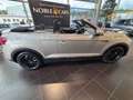 Volkswagen T-Roc Cabriolet Move RFK LED NAVI ALU Silber - thumbnail 8