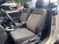 Volkswagen T-Roc Cabriolet Move RFK LED NAVI ALU Silber - thumbnail 20