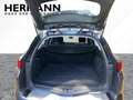 Renault Megane IV 1.3 TCe 115 Grandtour GPF Zen LED*SHZ Grau - thumbnail 6