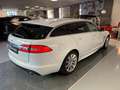 Jaguar XF Sportbrake 2.2 D 200 CV Premium Luxury R-LINE Bianco - thumbnail 4