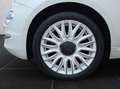 Fiat 500 FireFly Hybrid 70 Dolcevita Weiß - thumbnail 13