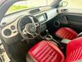 Volkswagen Maggiolino 2.0 TSI DSG Sport CAMBIO AUTOMATICO FENDER EDITION Білий - thumbnail 14