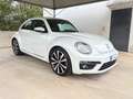 Volkswagen Maggiolino 2.0 TSI DSG Sport CAMBIO AUTOMATICO FENDER EDITION Білий - thumbnail 3
