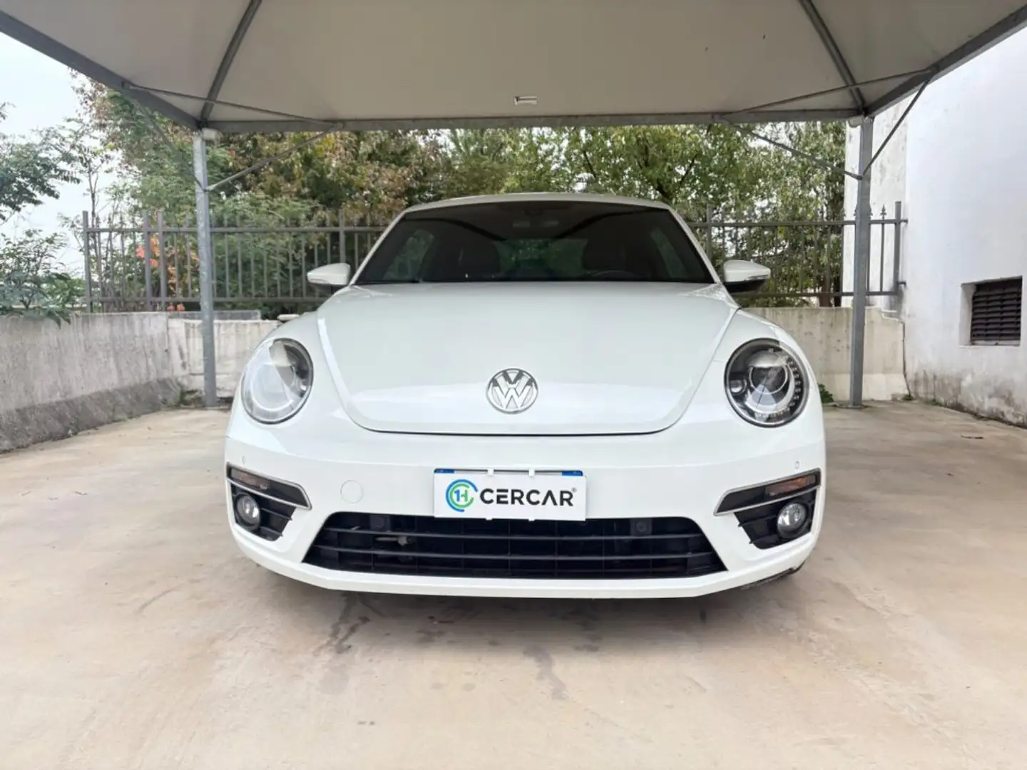 Volkswagen Maggiolino 2.0 TSI DSG Sport CAMBIO AUTOMATICO FENDER EDITION Білий - 2