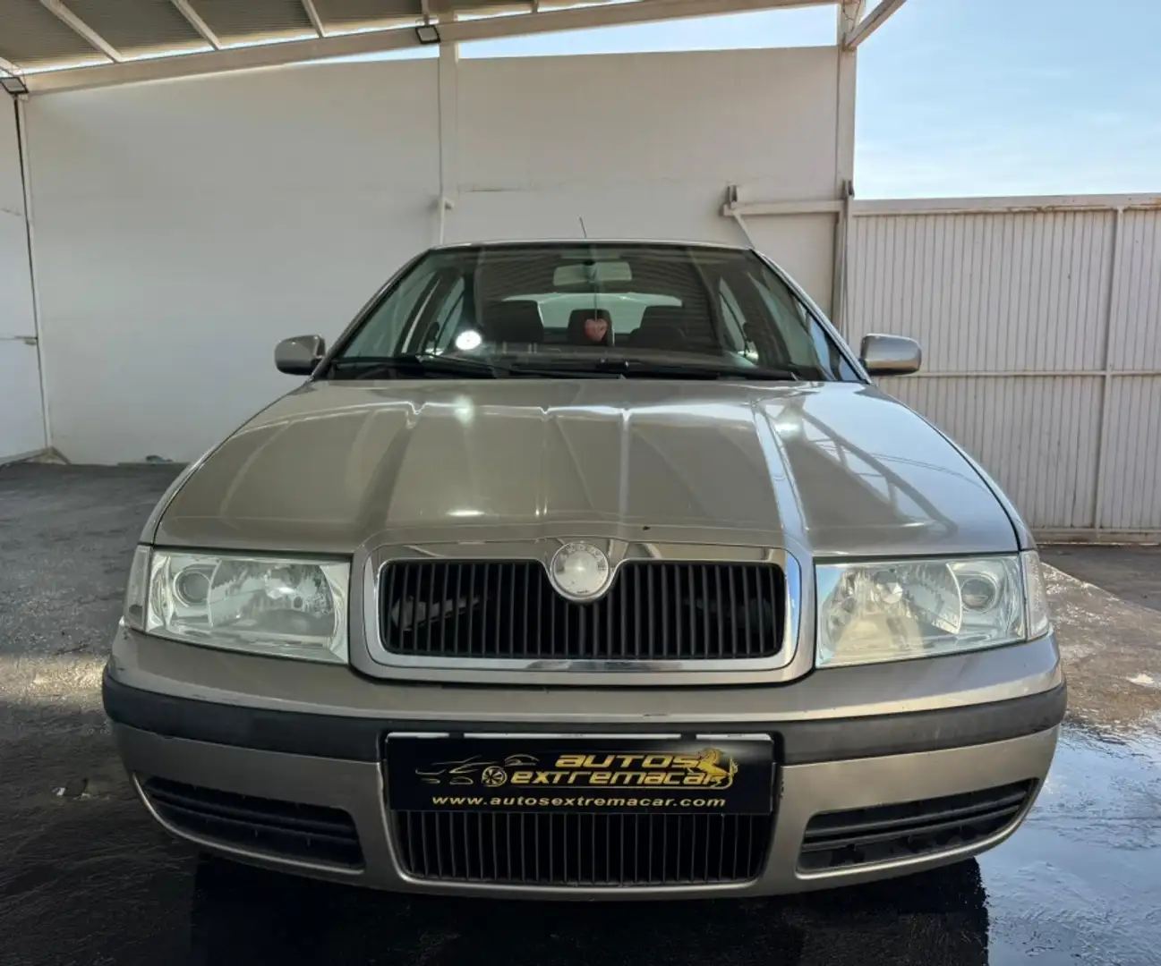 Skoda Octavia 1.9TDI Tradition Tour 100 Beige - 2