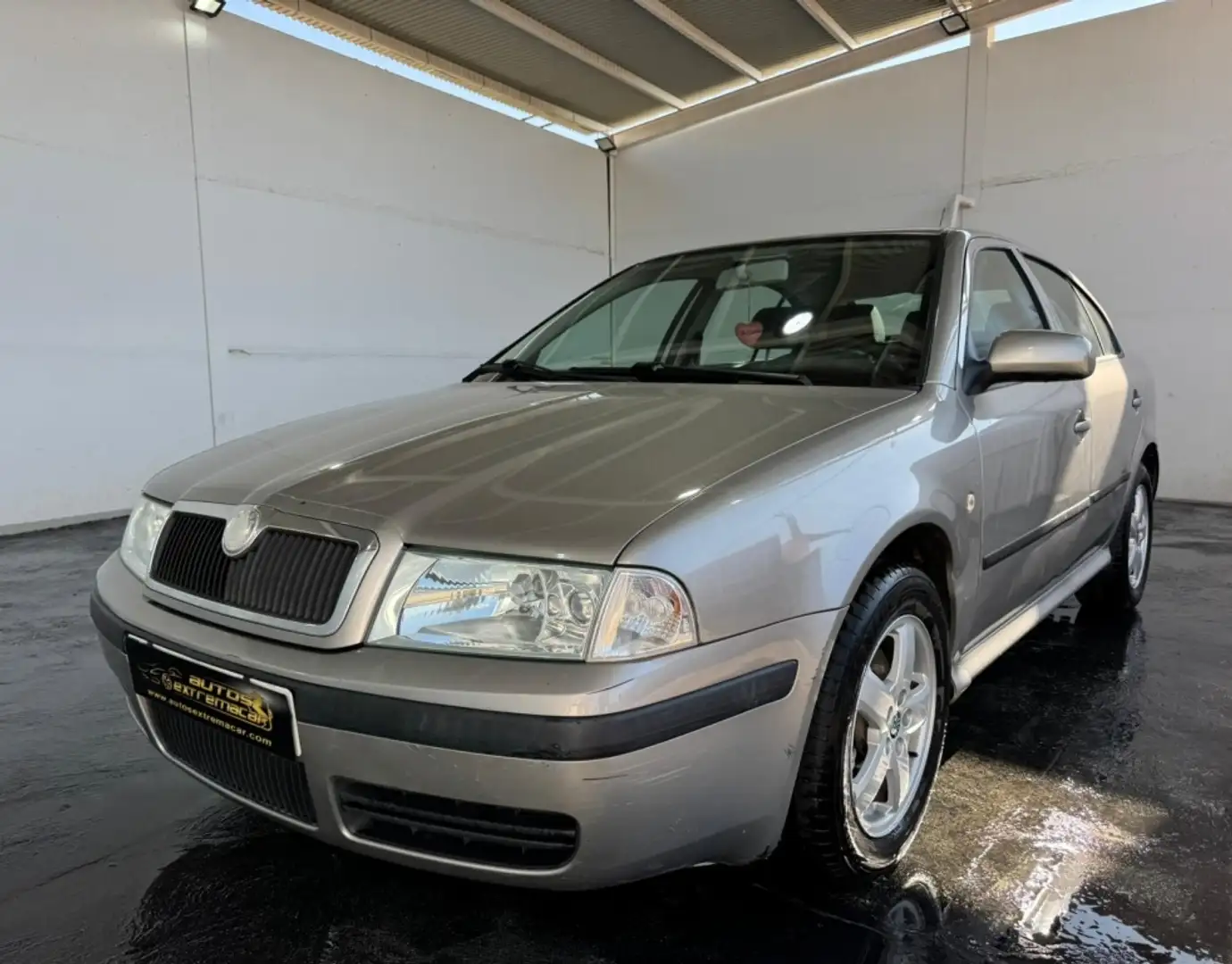 Skoda Octavia 1.9TDI Tradition Tour 100 Beige - 1