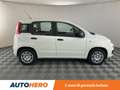 Fiat Panda 1.2 Easy Bianco - thumbnail 7