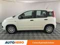 Fiat Panda 1.2 Easy Bianco - thumbnail 3