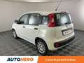 Fiat Panda 1.2 Easy Bianco - thumbnail 4