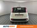 Fiat Panda 1.2 Easy Bianco - thumbnail 5