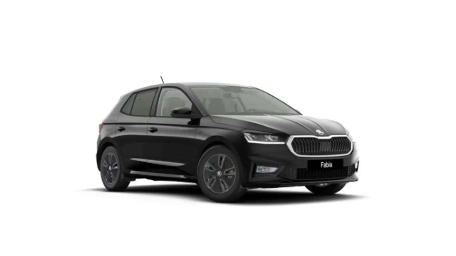 Skoda Fabia Tour 1.0 TSI Winter/Lodge/LED Klima Schwarz - 1