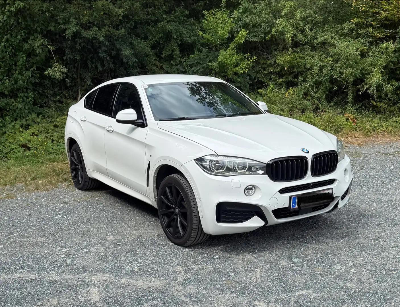 BMW X6 X6 xDrive30d Weiß - 1