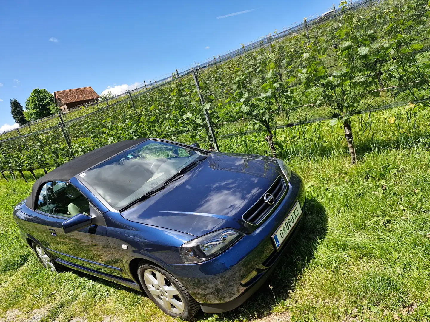 Opel Astra Astra Cabrio Bertone 1,8 16V Bertone Blau - 1
