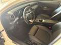 Mercedes-Benz A 180 Classe A - W177 2018 d Business auto Bianco - thumbnail 15