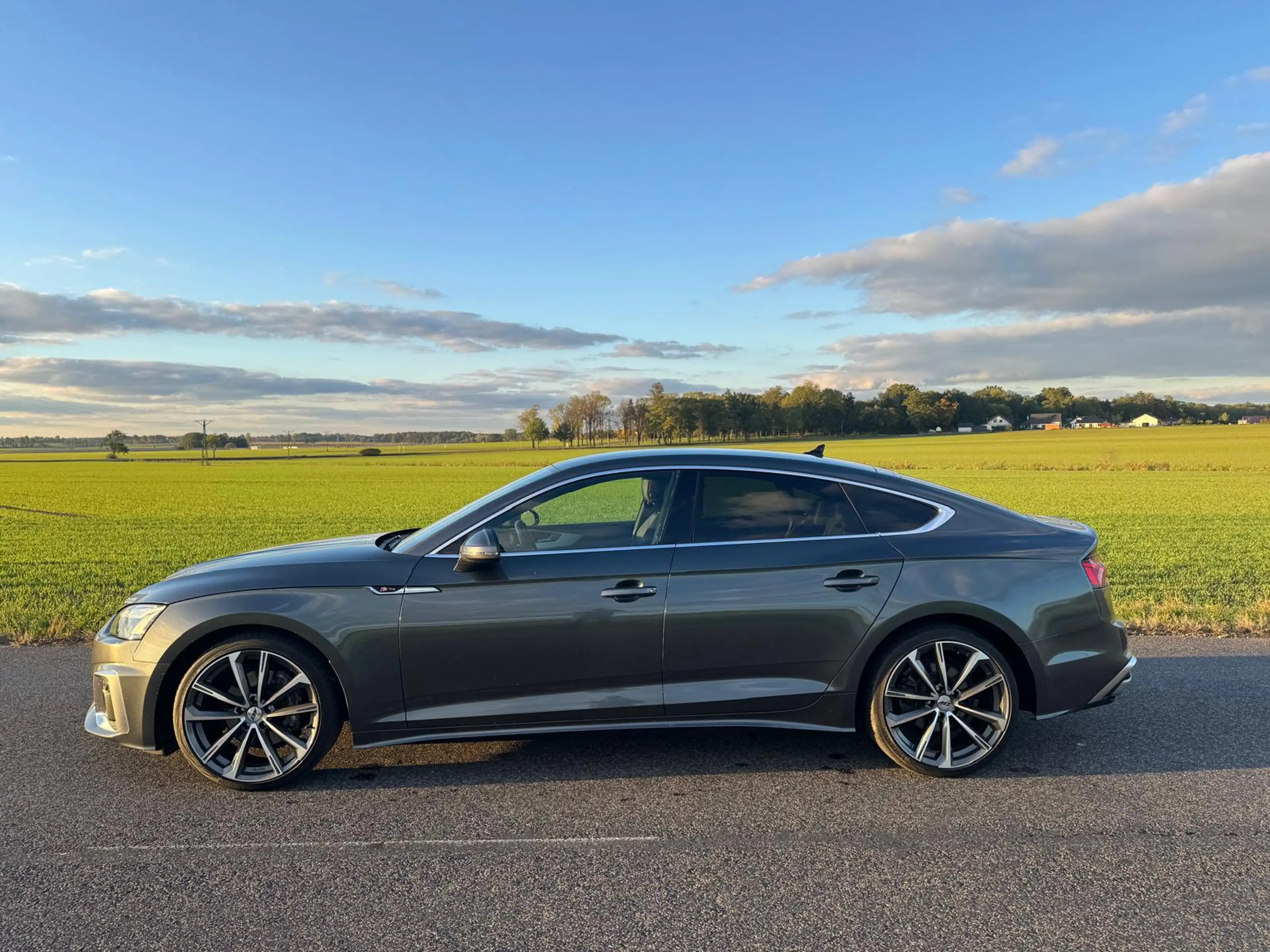 Audi A5 A5 Sportback 40 TDI quattro S tronic S line — photo 2