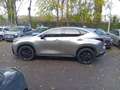Lexus NX 350h II 2022 350h 2.5 F-Sport 4wd e-cvt - thumbnail 2