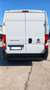 Fiat Ducato 30 2.3 MJT 120CV ED6-TEM VAN N1 Bianco - thumbnail 6