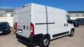 Fiat Ducato 30 2.3 MJT 120CV ED6-TEM VAN N1 Bianco - thumbnail 5