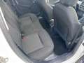 Peugeot 208 208 I 2016 5p 1.2 Active 82cv*EURO 6*NEOPATENTATI Weiß - thumbnail 12
