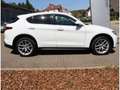 Alfa Romeo Stelvio FIRST EDITION Q4 2.0 TURBO AHK PANO NAVI KLIMA WIN Bílá - thumbnail 3
