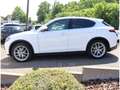 Alfa Romeo Stelvio FIRST EDITION Q4 2.0 TURBO AHK PANO NAVI KLIMA WIN Blanco - thumbnail 7