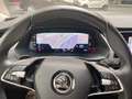 Skoda Octavia Octavia 2.0 TDi SCR   DSG 12 MOIS GARANTIE Gris - thumbnail 20