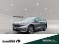 Skoda Enyaq 85 Loft 82kWh 210kw *NAVI*Virtual Cockpit* Grau - thumbnail 1