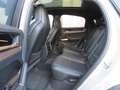 Porsche Cayenne Coupe E-Hybrid*ACC*BOSE*PANO*MATRIX Gris - thumbnail 26