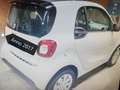 smart forTwo Fortwo 1.0 Passion 71cv Bianco - thumbnail 5
