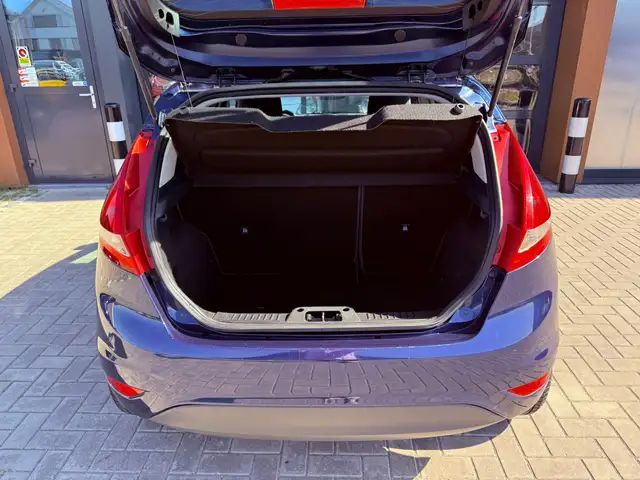 Ford Fiesta view 10