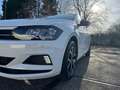 Volkswagen Polo Polo 1.0 TSi United OPF DSG (EU6AP) Blanc - thumbnail 5