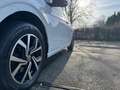 Volkswagen Polo Polo 1.0 TSi United OPF DSG (EU6AP) Blanc - thumbnail 7