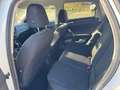 Volkswagen Polo Polo 1.0 TSi United OPF DSG (EU6AP) Blanc - thumbnail 8