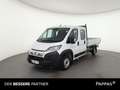 Fiat Ducato 35 Maxi 140 L4 DOKA Pritsche 3,5t Cam Weiß - thumbnail 1
