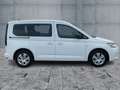 Volkswagen Caddy 1.5 TSI LED+RFK+ACC+SHZ+AHK Weiß - thumbnail 6