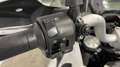 Benelli TRK 502 2020 + TRIS VALIGIE - PAT A2 ( 35KW ) Blanc - thumbnail 9