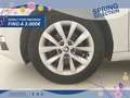 Skoda Octavia Wagon 1.5 g-tech Executive 130 CV DSG Bianco - thumbnail 10