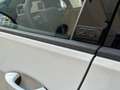 Volkswagen Golf 2.0 TSI R 20 Aniversario DSG 245kW Blanco - thumbnail 35