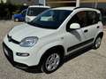 Fiat Panda 1.2 easypower CityLife Bianco - thumbnail 1